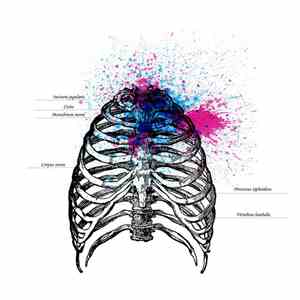 70 cm³ Of Your Chest - 70 Cm³ Of Your Chest