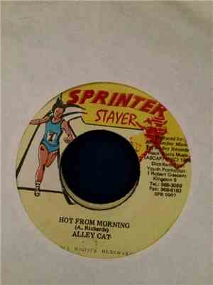 Alley Cat  - Hot From Morning