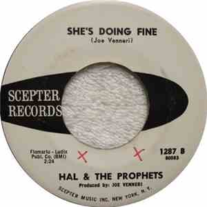 Hal & The Prophets - Shame Shame Shame