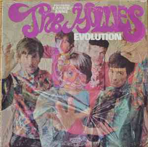 The Hollies - Evolution