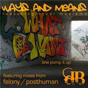 Ways And Means Featuring Trudi Mosiamo - What I Want / Pump It Up