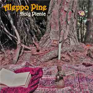 Aleppo Pine - Holy Picnic