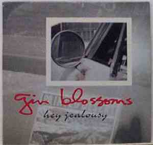 Gin Blossoms - Hey Jealousy