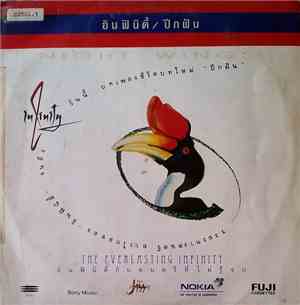 อินฟินิตี้กับดนตรีที่ไม่รู้จบ - Night Wings / ปีกฝัน