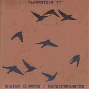 Adrian Klumpes / Machinefabriek - Passeridae II