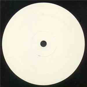 Paris Syndrome - Shirley Not / Greatest Hits