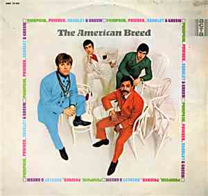 The American Breed - Pumpkin, Powder, Scarlet & Green