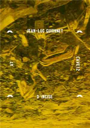 Jean-Luc Guionnet - D'incise - At Cave12