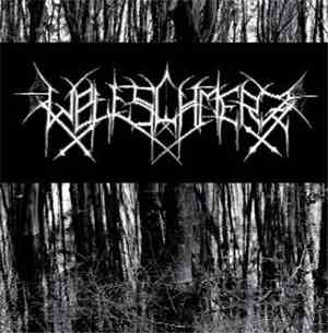 Weltschmerz  - Cry For War