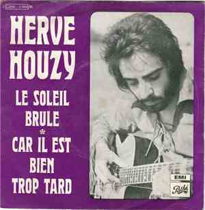 Herve Houzy - Le Soleil Brule