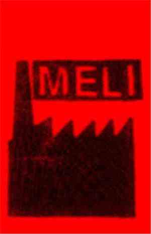 M.E.L.I. - Live In Santa María