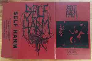 Self Harm  - Hektik Kaos Demo 2016
