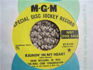Hank Williams, Jr. - A - Eee / Rainin' In My Heart