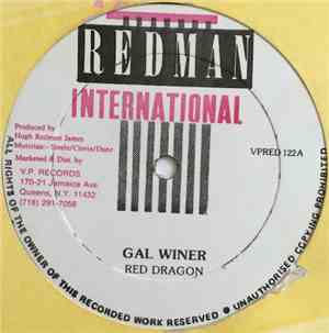 Red Dragon - Gal Winer