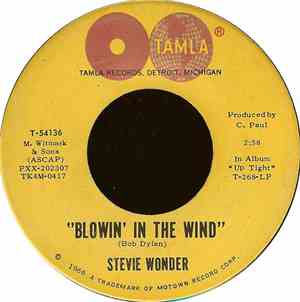 Stevie Wonder - Blowin' In The Wind