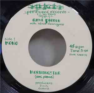 Ami Pierce With Steve Dobrogosz - Morningstar