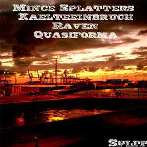 Mince Splatters / Kaelteeinbruch / Raven  / Quasiforma - Split