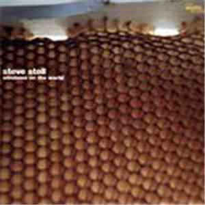 Steve Stoll - Windows On The World