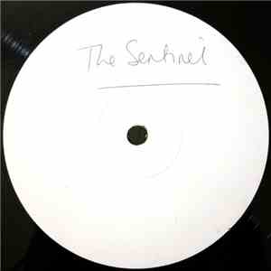 The Sentinel - Dig Deeper / Toulépleu