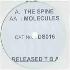 Danny Breaks & Dylan - The Spine / Molecules