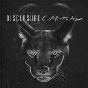 Disclosure  - Caracal