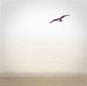 Phillip Wilkerson - Ten To Eleven