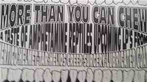 Various - More Than You Can Chew: Amphetamine Reptile Records New Release Sampler