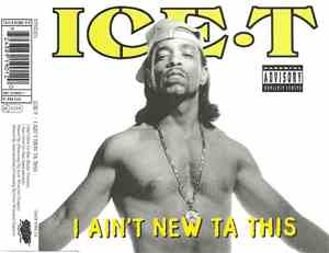 Ice-T - I Ain't New Ta This