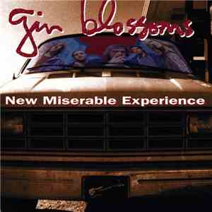 Gin Blossoms - New Miserable Experience