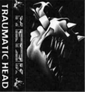 Metek - Traumatic Head
