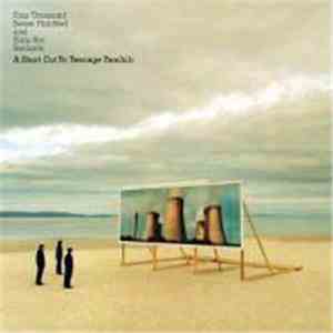 Teenage Fanclub - Four Thousand Seven Hundred And Sixty-Six Seconds - A Short Cut To Teenage Fanclub