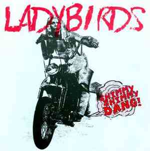 The Ladybirds  - Shimmy Shimmy Dang