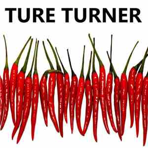 Ture Turner - African Heroes