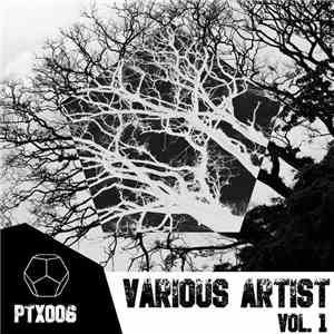 Various - Various Artists, Vol. 1