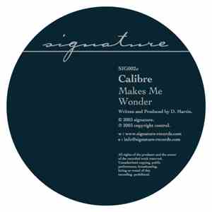 Calibre - Makes Me Wonder / Got To Have You