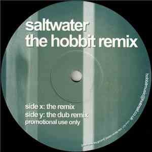 Chicane - Saltwater (The Hobbit Remix)
