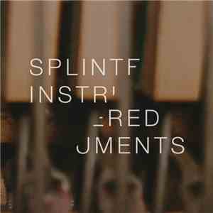 Matthew Collings - Splintered Instruments