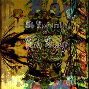 Roto Visage - The Reconstitution Of Roto Visage