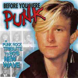 Various - Before You Were Punk