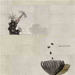Tape - Milieu Plus