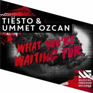 Tiesto & Ummet Ozcan - What You're Waiting For