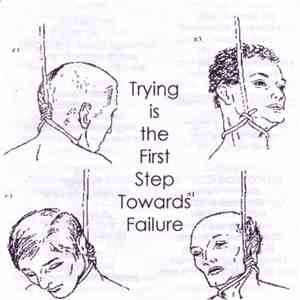 Various - Trying Is The First Step Towards Failure