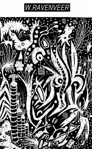 W. Ravenveer - Fuzzy Hair Electronics Vol. 1