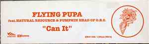 Flying Pupa - Can It