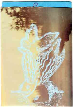Johanna Kunin  /  Karl Blau  /  Typhoon   /  Your Heart Breaks - Live At Dearborn House
