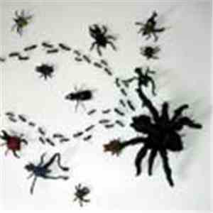 Room 204 / G.I. Joe  - Split