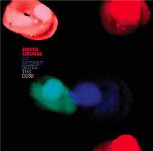David Grubbs - An Optimist Notes The Dusk
