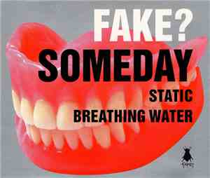 Fake? - Someday