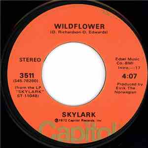 Skylark  - Wildflower