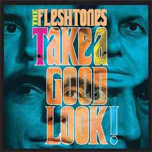 The Fleshtones - Take A Good Look!